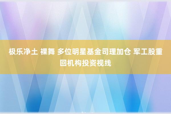 极乐净土 裸舞 多位明星基金司理加仓 军工股重回机构投资视线