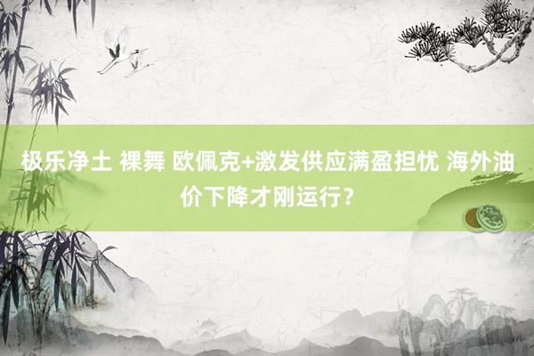 极乐净土 裸舞 欧佩克+激发供应满盈担忧 海外油价下降才刚运行？