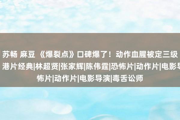 苏畅 麻豆 《爆裂点》口碑爆了！动作血腥被定三级片，不雅众：港片经典|林超贤|张家辉|陈伟霆|恐怖片|动作片|电影导演|毒舌讼师