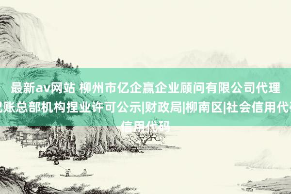 最新av网站 柳州市亿企赢企业顾问有限公司代理记账总部机构捏业许可公示|财政局|柳南区|社会信用代码